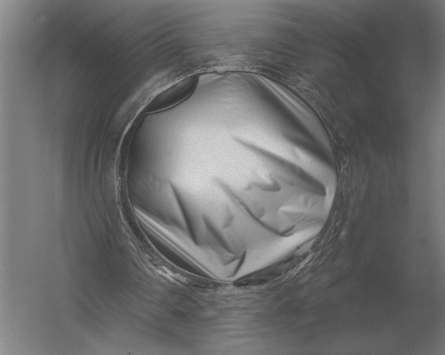 X0000054360290200508191827
