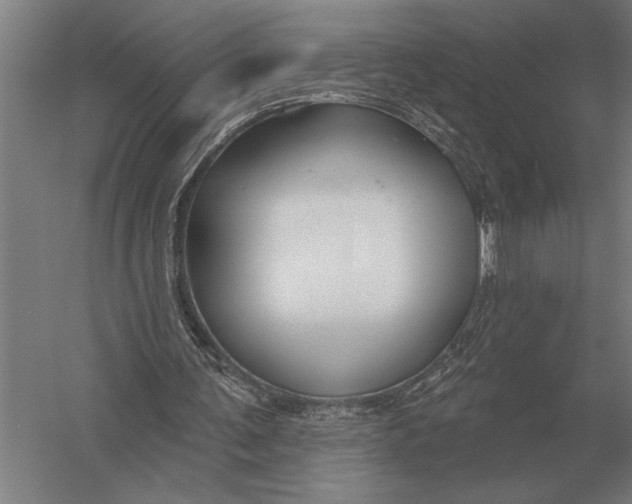 X0000054360291200508191827