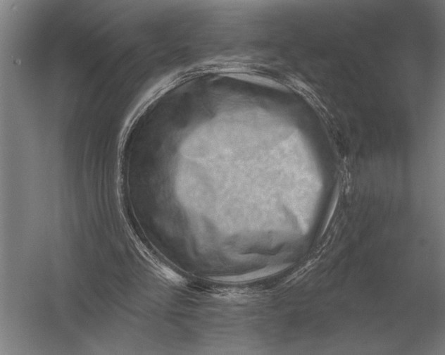 X0000054360293200508191827