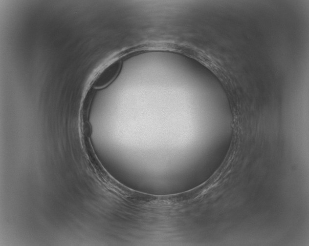 X0000054360294200508191827