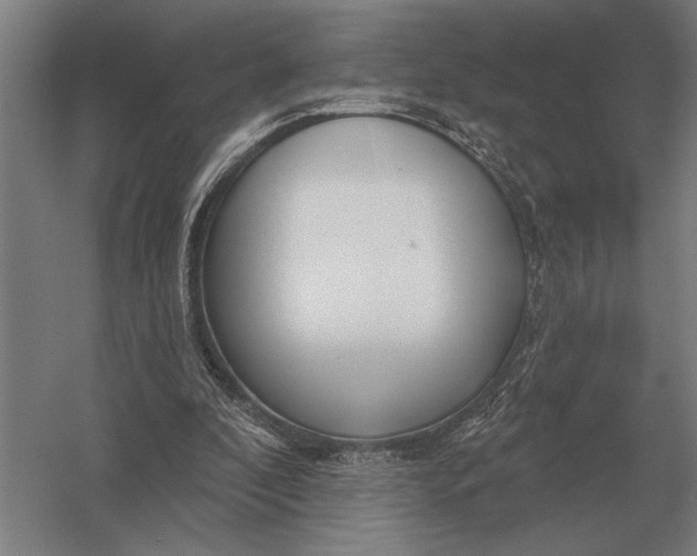 X0000054360296200508191827