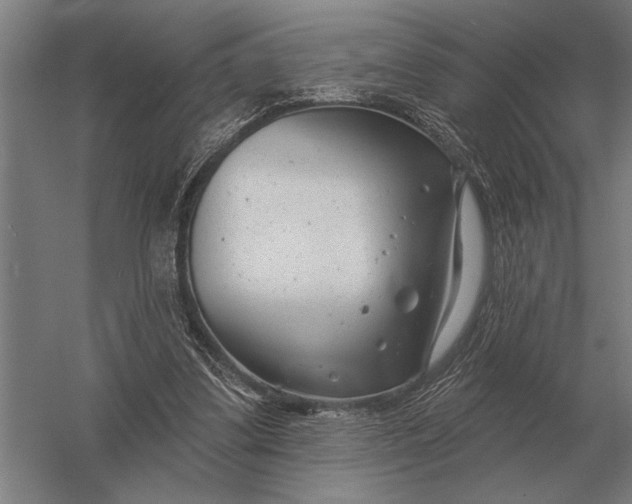 X0000054360299200508191827