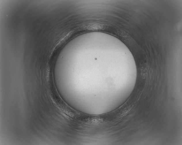 X0000054360304200508191826