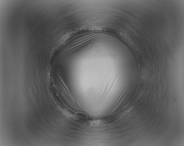 X0000054360309200508191826