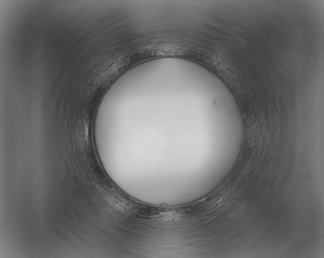 X0000054360310200508191826