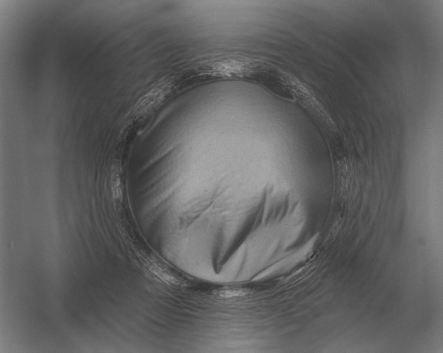 X0000054360313200508191826