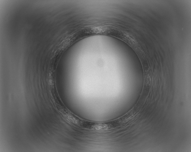 X0000054360317200508191826