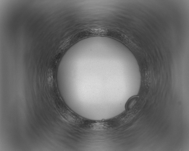 X0000054360320200508191826
