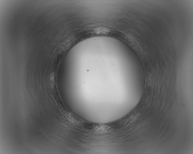 X0000054360321200508191826