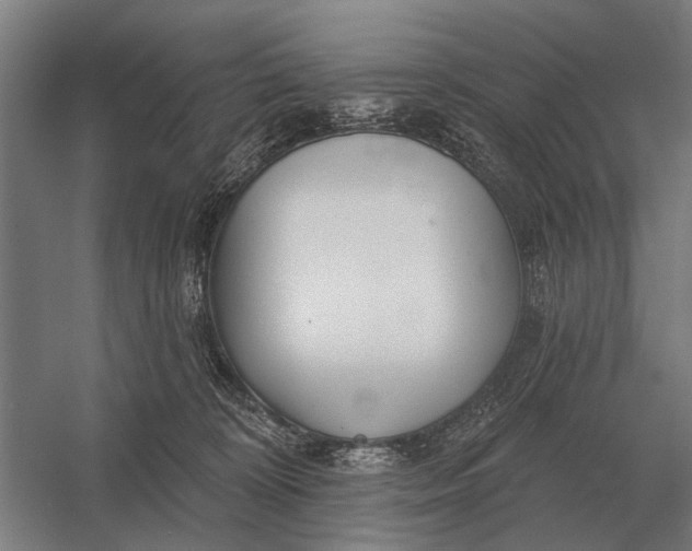 X0000054360324200508191826