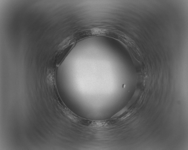 X0000054360329200508191826