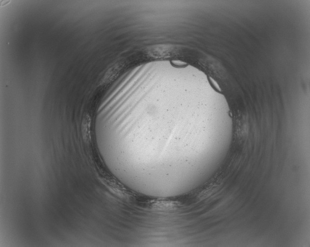 X0000054360332200508191826