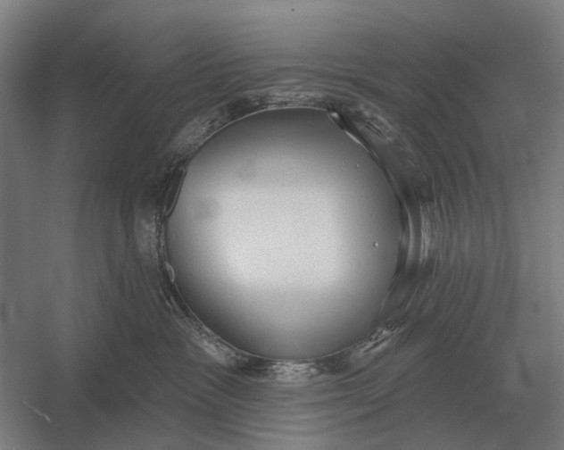X0000054360333200508191826