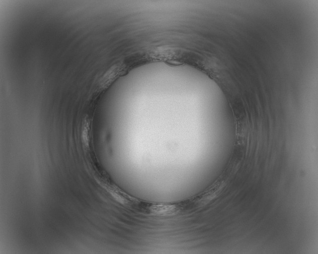 X0000054360334200508191826