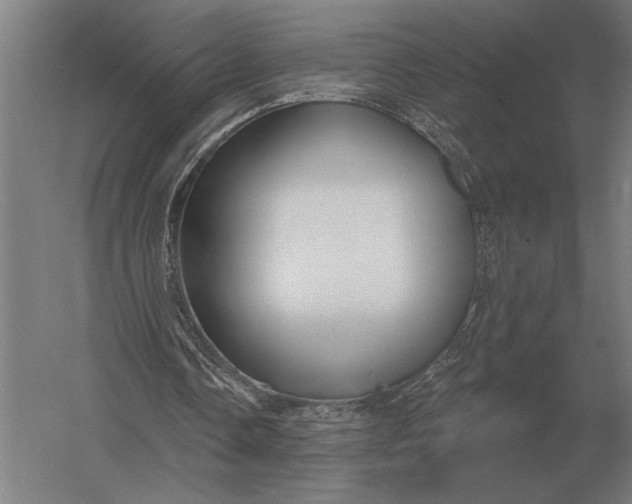 X0000054360338200508191825