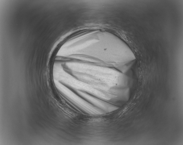 X0000054360342200508191825