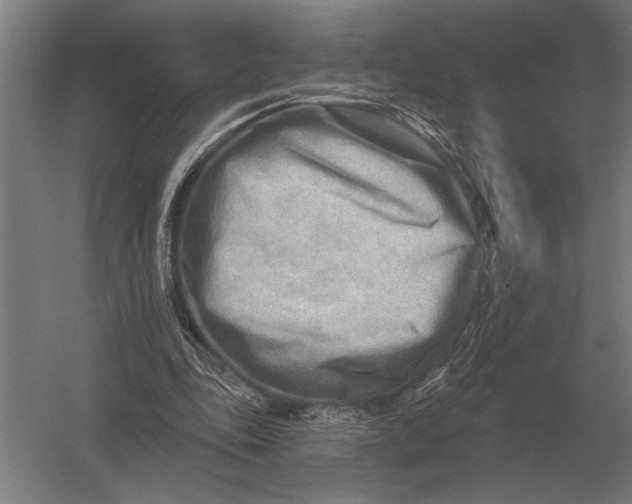 X0000054360343200508191825