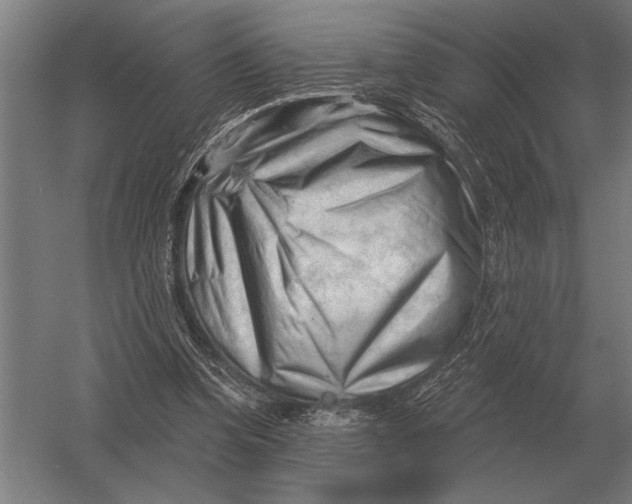 X0000054360346200508191825