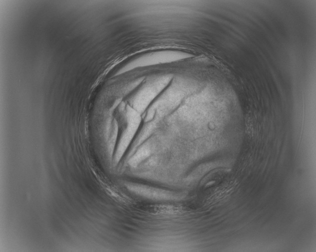 X0000054360347200508191825