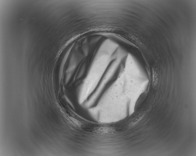 X0000054360348200508191825