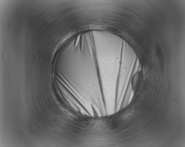 X0000054360349200508191825