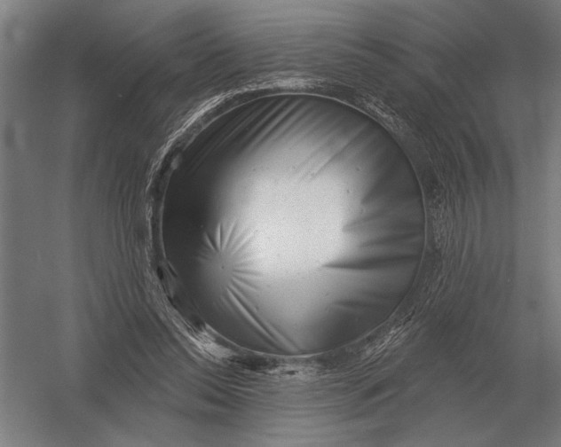 X0000054360350200508191825