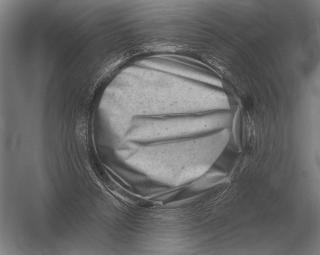 X0000054360352200508191825