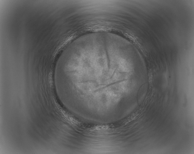 X0000054360353200508191825