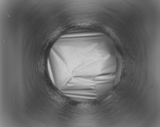 X0000054360354200508191825