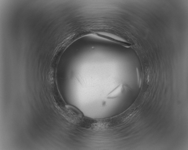 X0000054360356200508191825