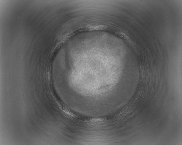 X0000054360357200508191825