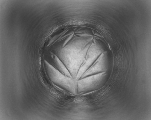 X0000054360358200508191825