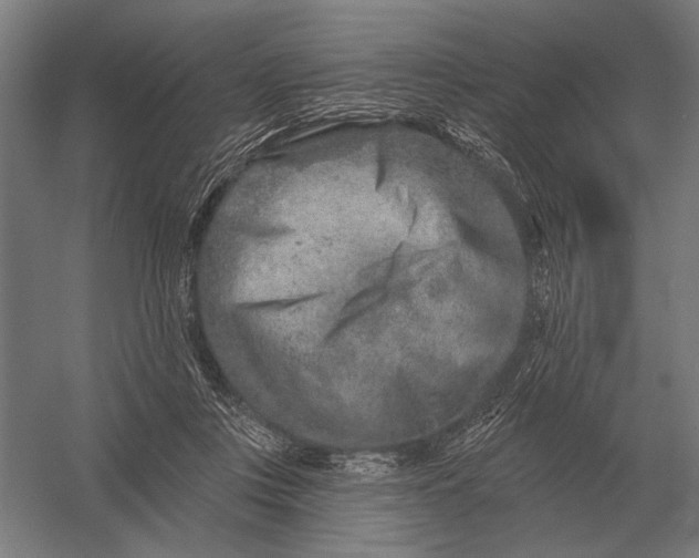 X0000054360359200508191825