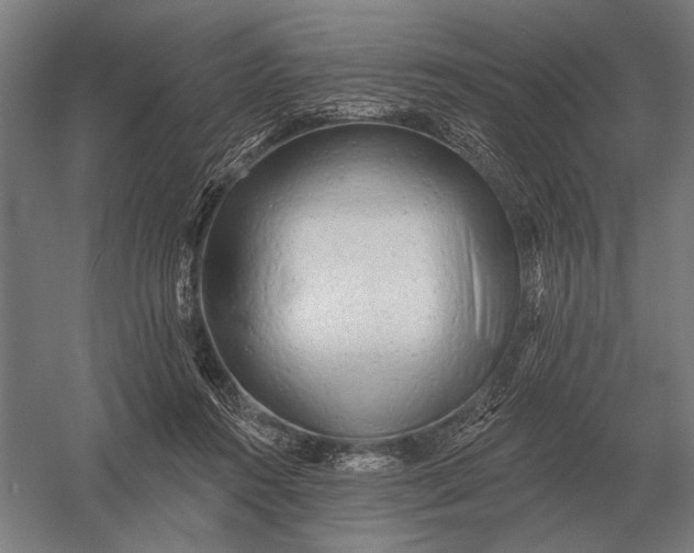 X0000054360360200508191825