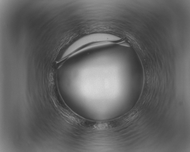 X0000054360362200508191825