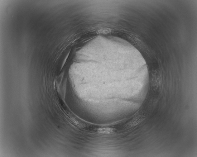 X0000054360363200508191826