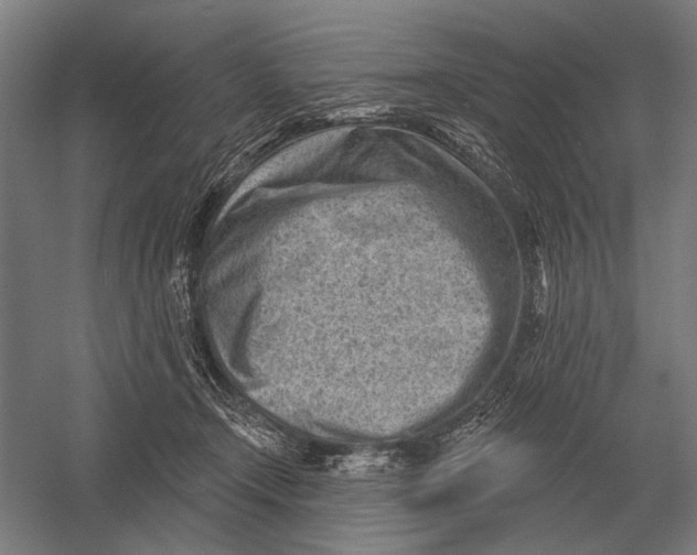 X0000054360366200508191826