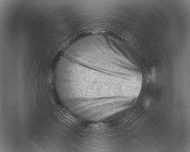 X0000054360367200508191826