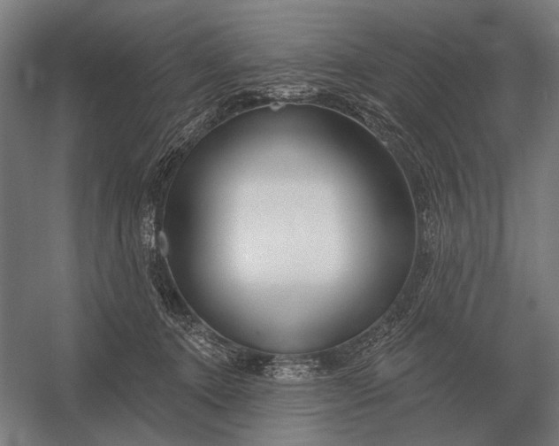 X0000054360368200508191826