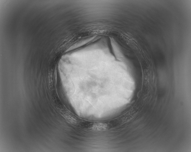 X0000054360369200508191826