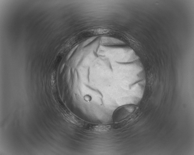 X0000054360373200508191826
