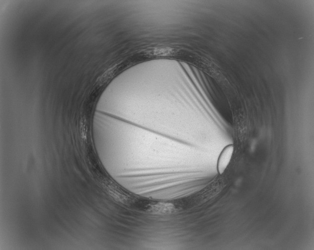 X0000054360374200508191826