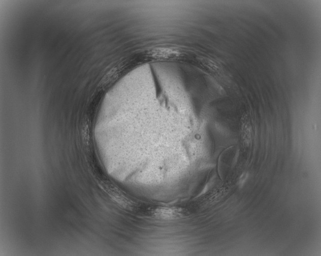 X0000054360375200508191826