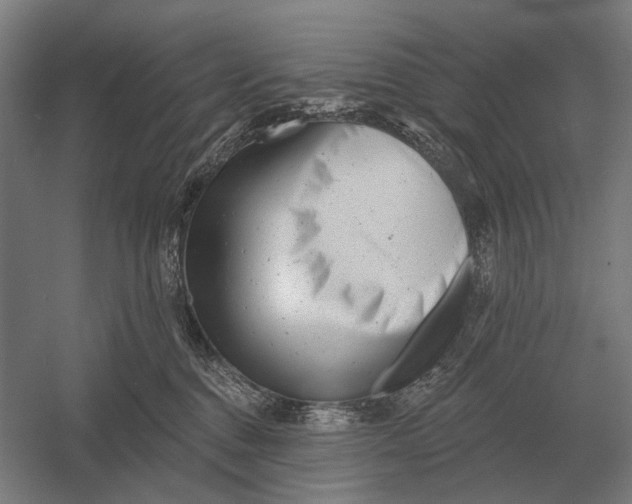 X0000054360376200508191826