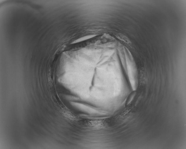 X0000054360377200508191826