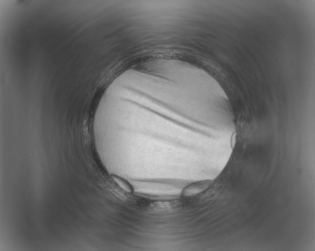 X0000054360381200508191826
