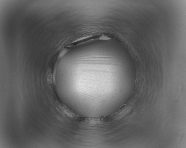 X0000054360384200508191826