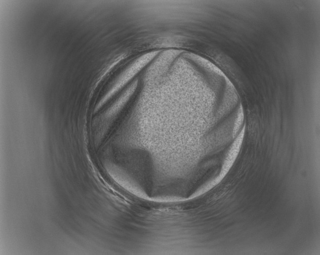 X0000054360386200508191825