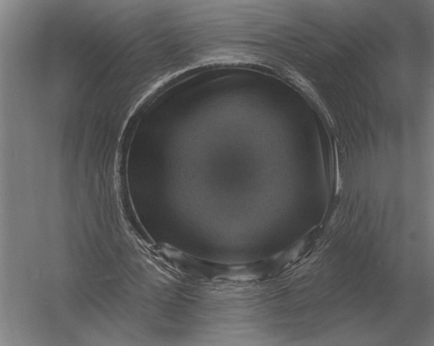 X0000054360387200508191825