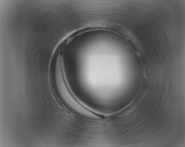 X0000054360388200508191825